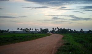 ଅନାଢ୍ୟ ରୁ ଅନିନ୍ଦ୍ୟ – ‘ଏକଡାଳ’