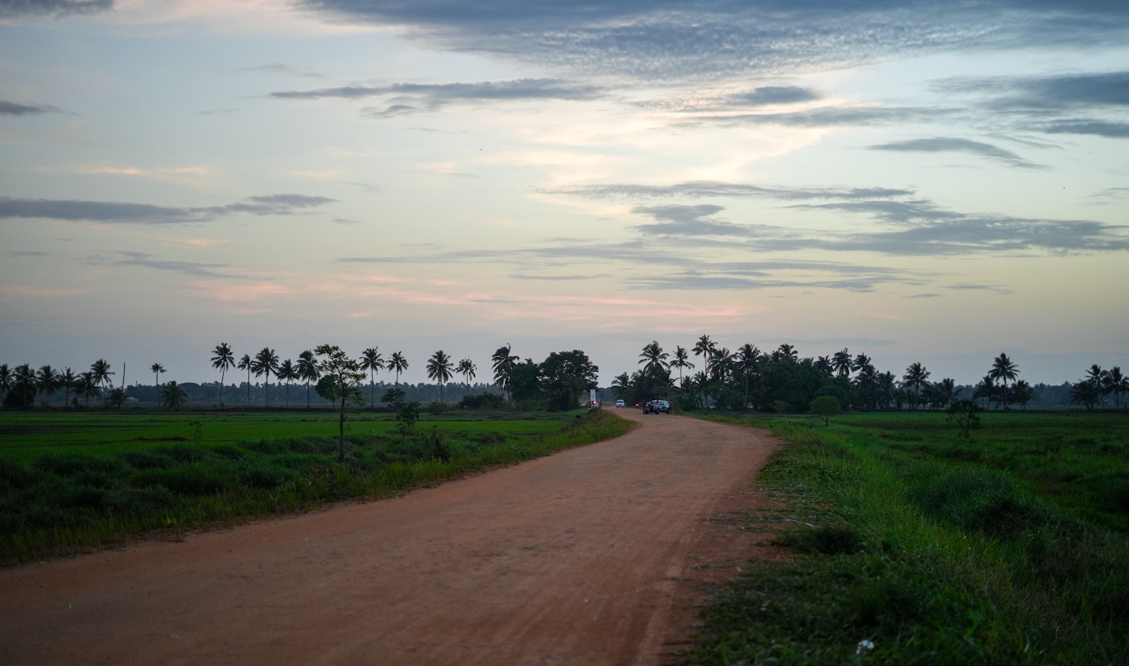 ଅନାଢ୍ୟ ରୁ ଅନିନ୍ଦ୍ୟ – ‘ଏକଡାଳ’